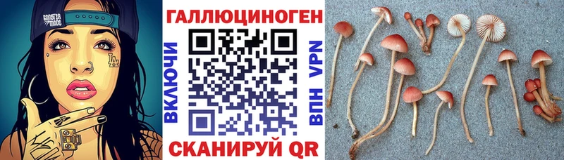 ОМГ ОМГ вход  Тулун  Галлюциногенные грибы Psilocybe  купить  